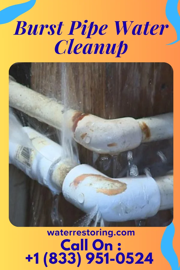 Burst Pipe Water Cleanup in Tontogany, OH