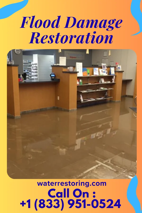 Flood Damage Restoration in Tontogany, OH