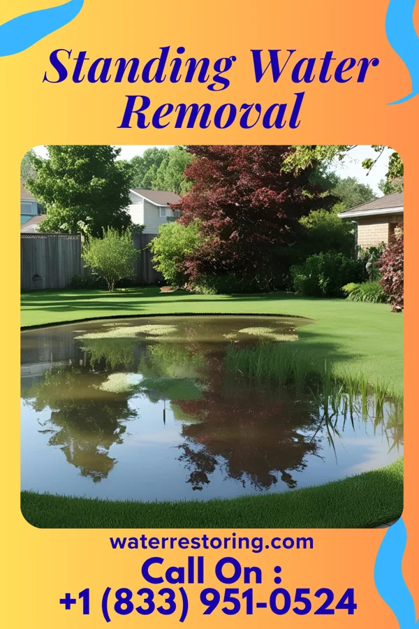 Standing Water Removal in Tontogany, OH